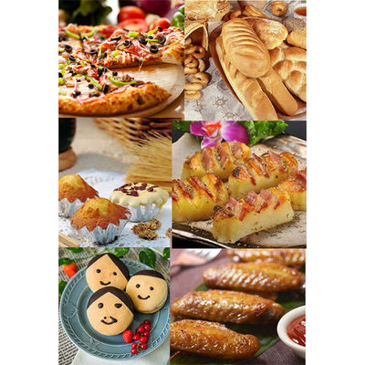 Electric Baking Oven for Pizza Bread Cake Stainless Steel Function Temperature Control