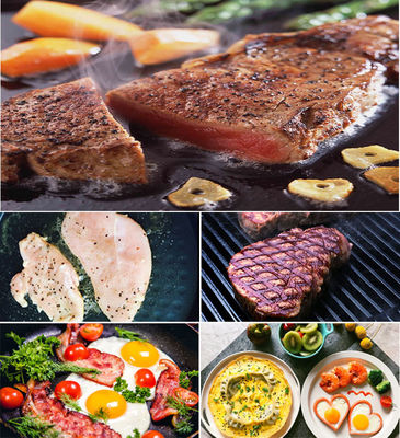 13kg Electric Panini Grill Commercial Panini Sandwich Press Stainless Steel Single Contact Grill